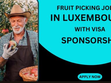 Fruit picking jobs in Luxembourg with visa sponsorship