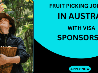 FRUIT PICKING JOBS IN AUSTRALIA WITH VISA SPONSORSHIP